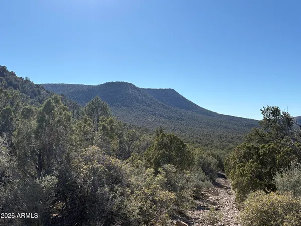 a view of swimming pool with a yard