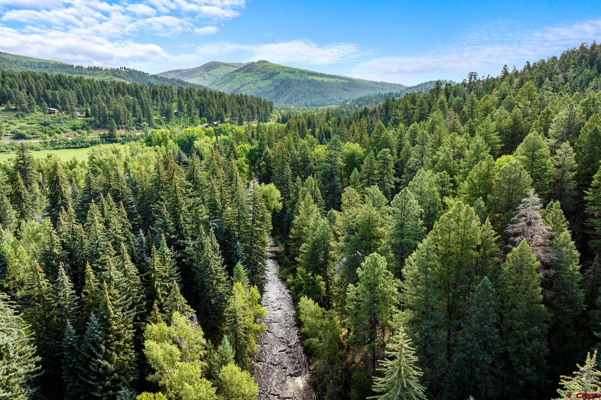 499 High Trails Drive Durango, CO 81301 - Photo 25 of 31 a view of a lush green forest with trees and houses