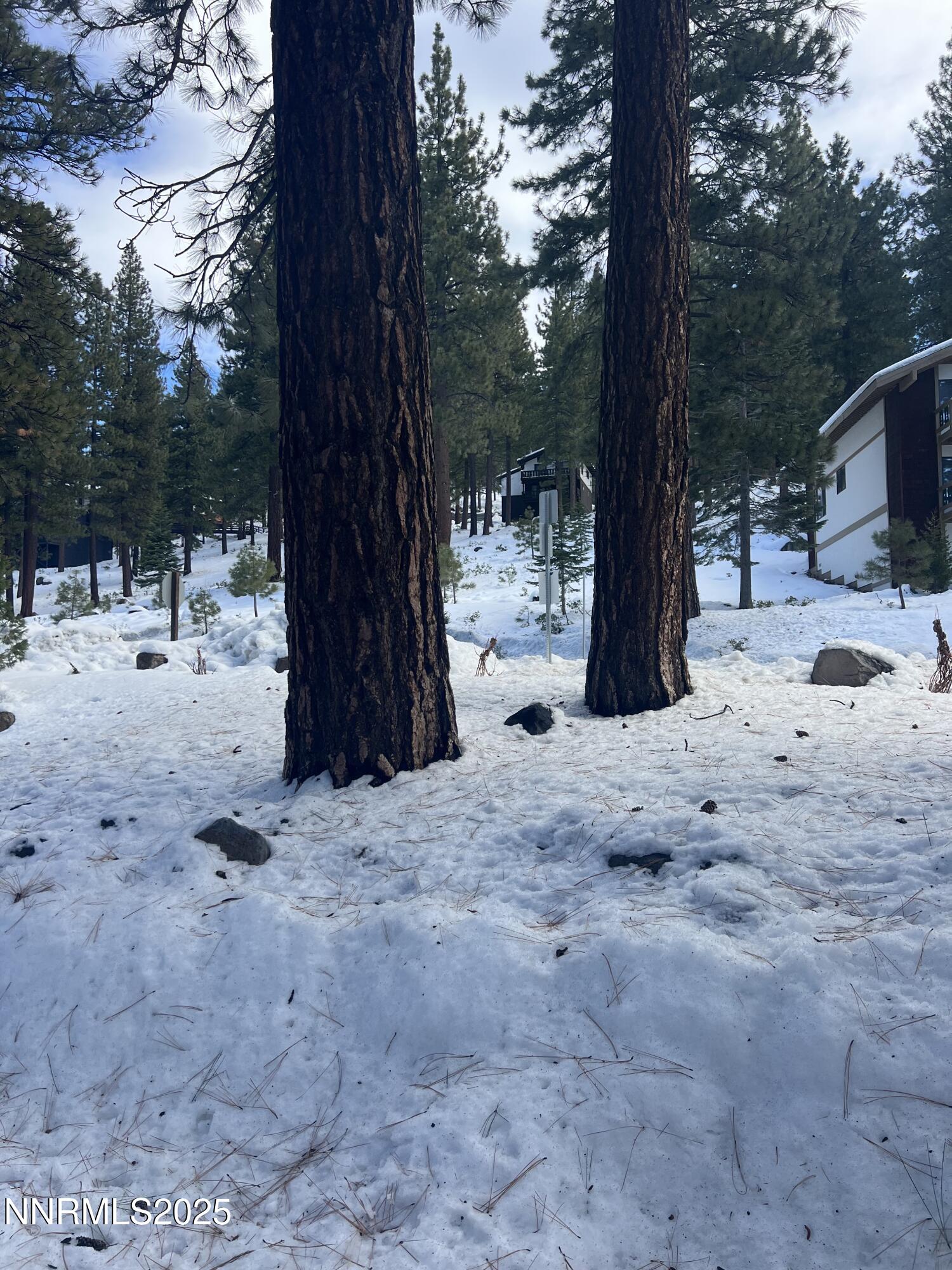 333 Ski Way, Unit 253 Incline Village, NV 89451 - Photo 2 of 13 a view of backyard of a house