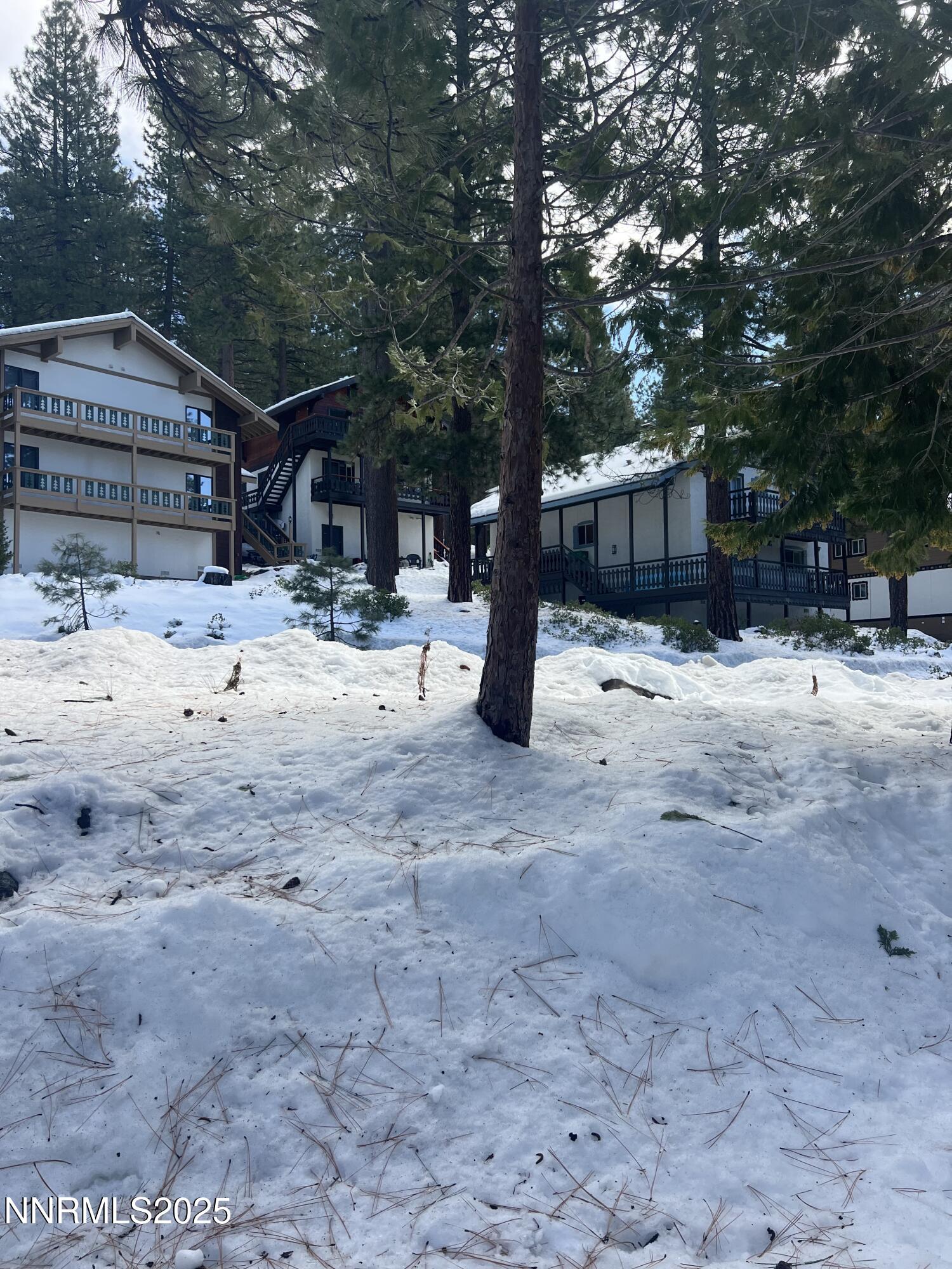 333 Ski Way, Unit 253 Incline Village, NV 89451 - Photo 3 of 13 a wooden bench sitting in middle of a yard