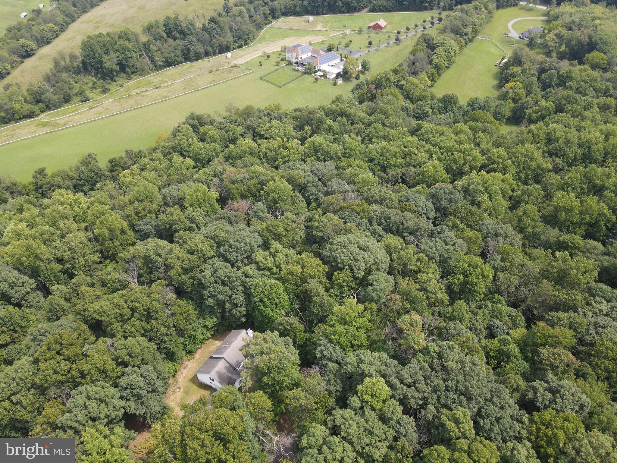 7624 Talbot Run Road Mount Airy, MD 21771 - Photo 8 of 56 Surrounded by Beautiful Countryside