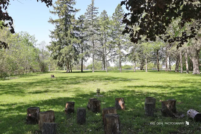 a view of backyard with a patio and plants