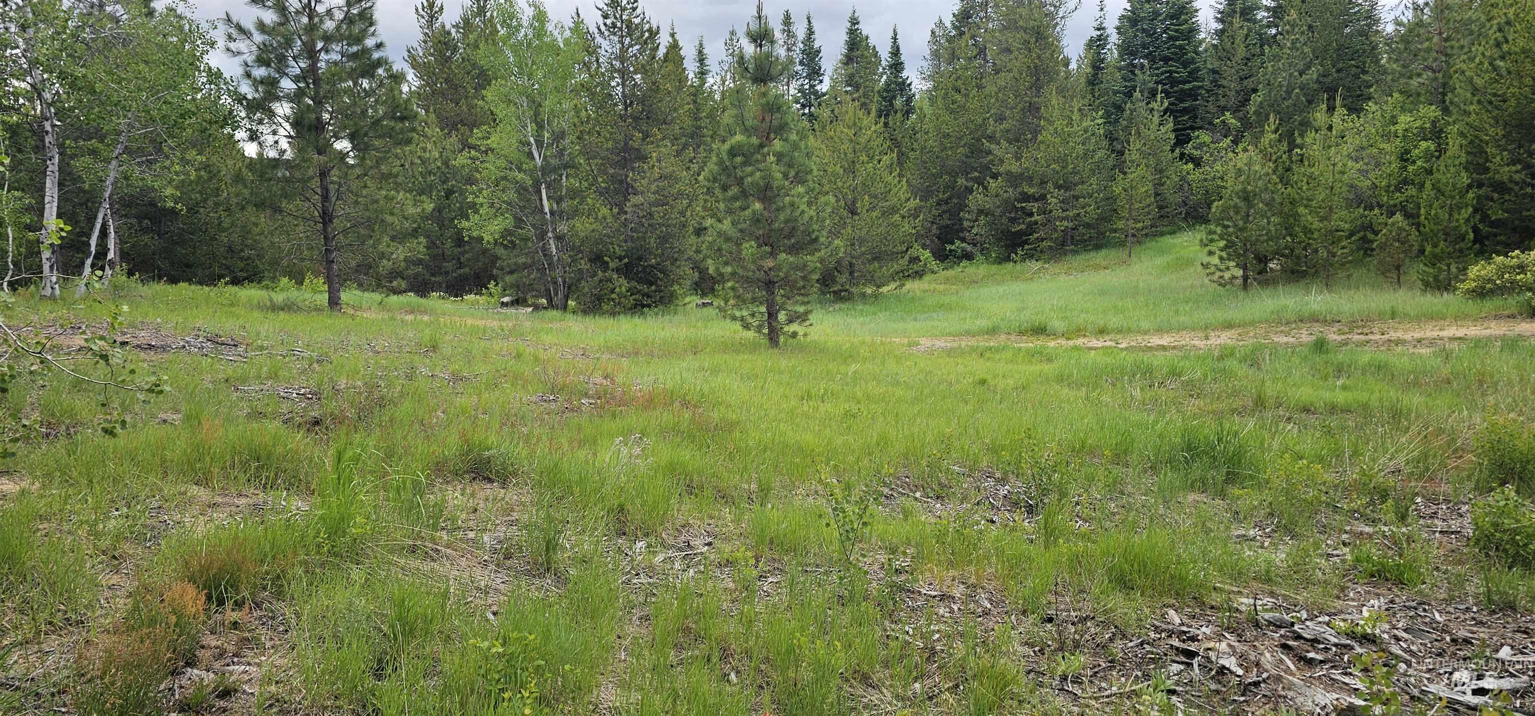 23 Sawtooth Loop Cascade, ID 83611 - Photo 36 of 45