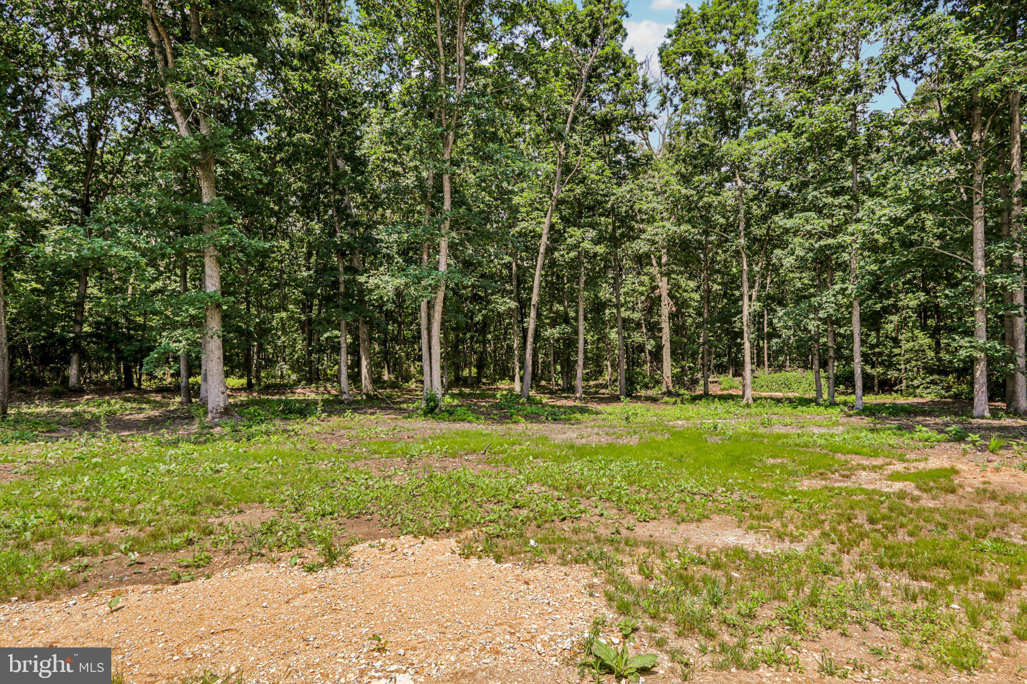 387 Tuska Road Millville, NJ 08332 - Photo 11 of 45