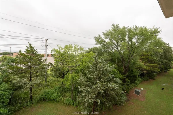 a view of a yard with plants and large trees