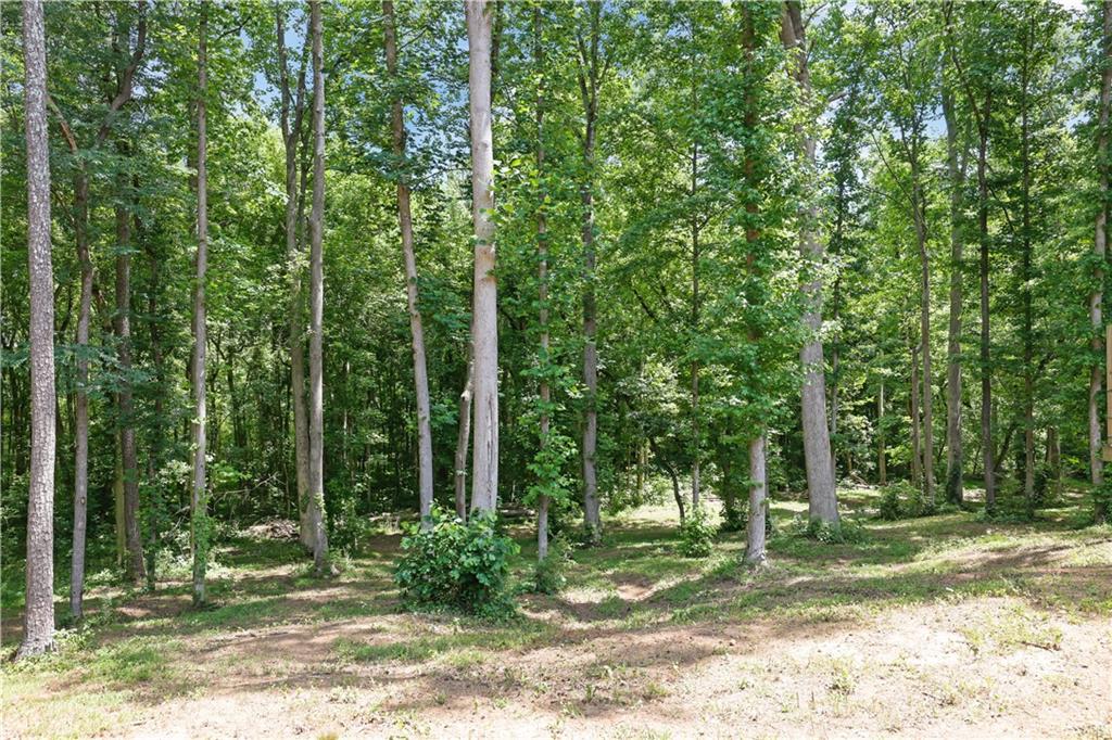 9645 Old Riverside Lane Ball Ground, GA 30107 - Photo 47 of 50