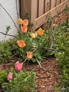 2209 Ash Street Denver, CO 80207 - Photo 32 of 37