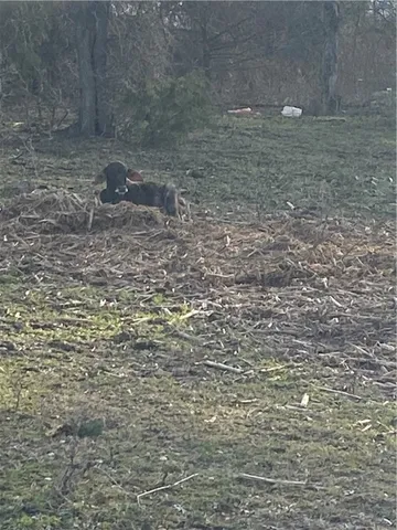 $380,000 | 160 Water Tower Road, Axtell, TX 76624