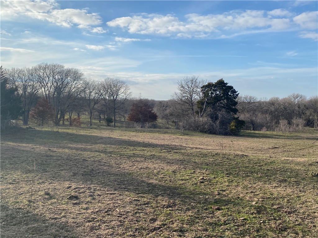 160 Water Tower Road Axtell, TX 76624 - Photo 6 of 21