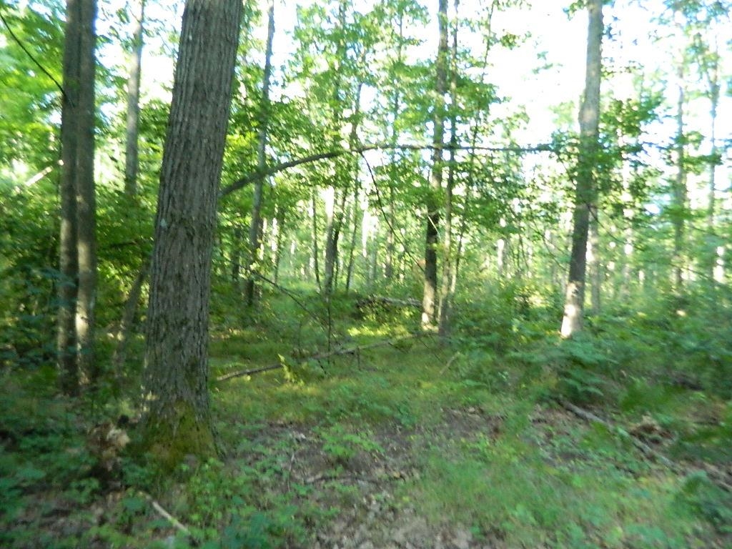 Tbd South Coldwater Road Blanchard, MI 49310 - Photo 5 of 8
