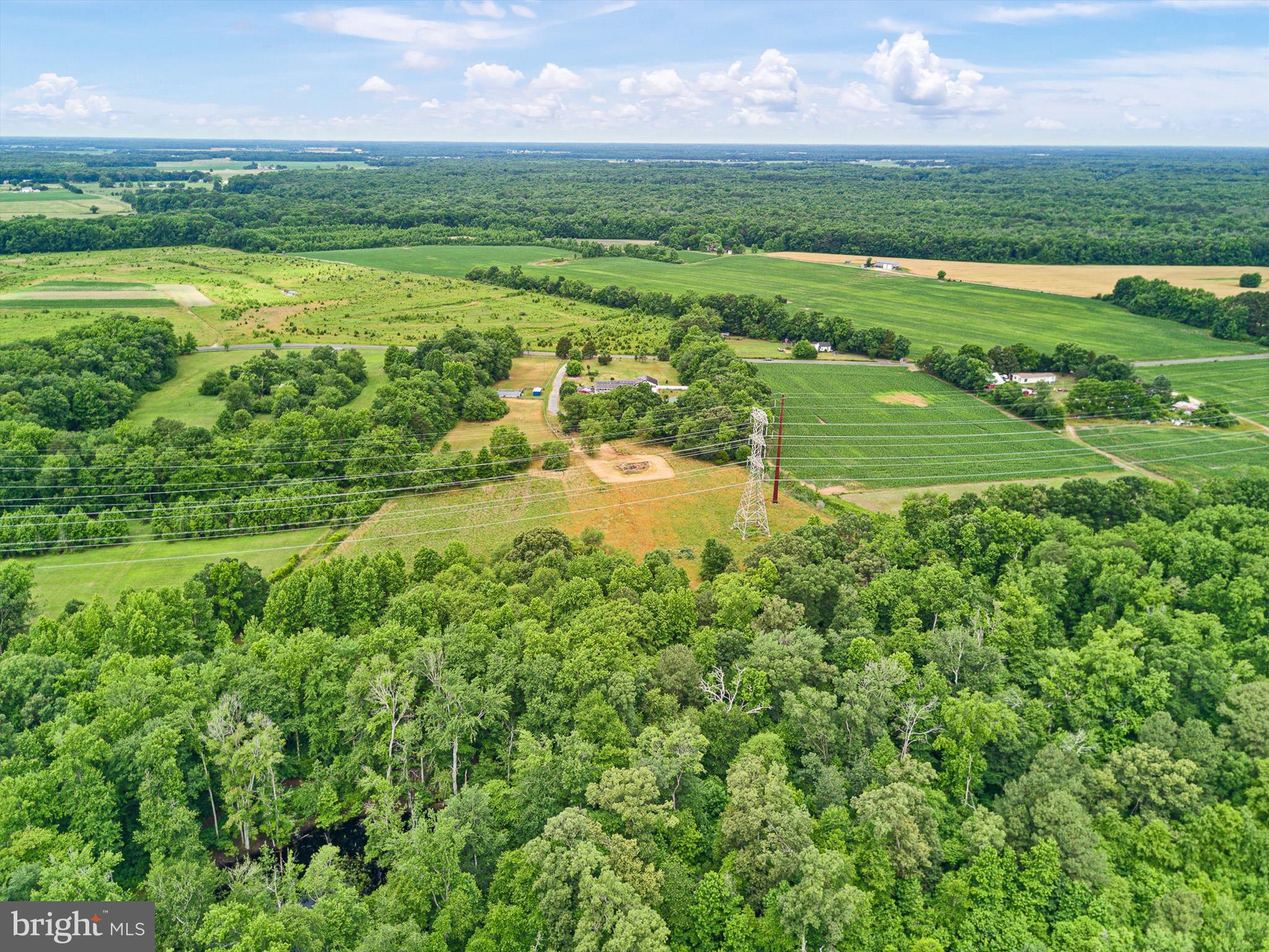 17435 Melville Road Henderson, MD 21640 - Photo 46 of 52 46-17435 Melville Rd_Aerial_Delivered-5