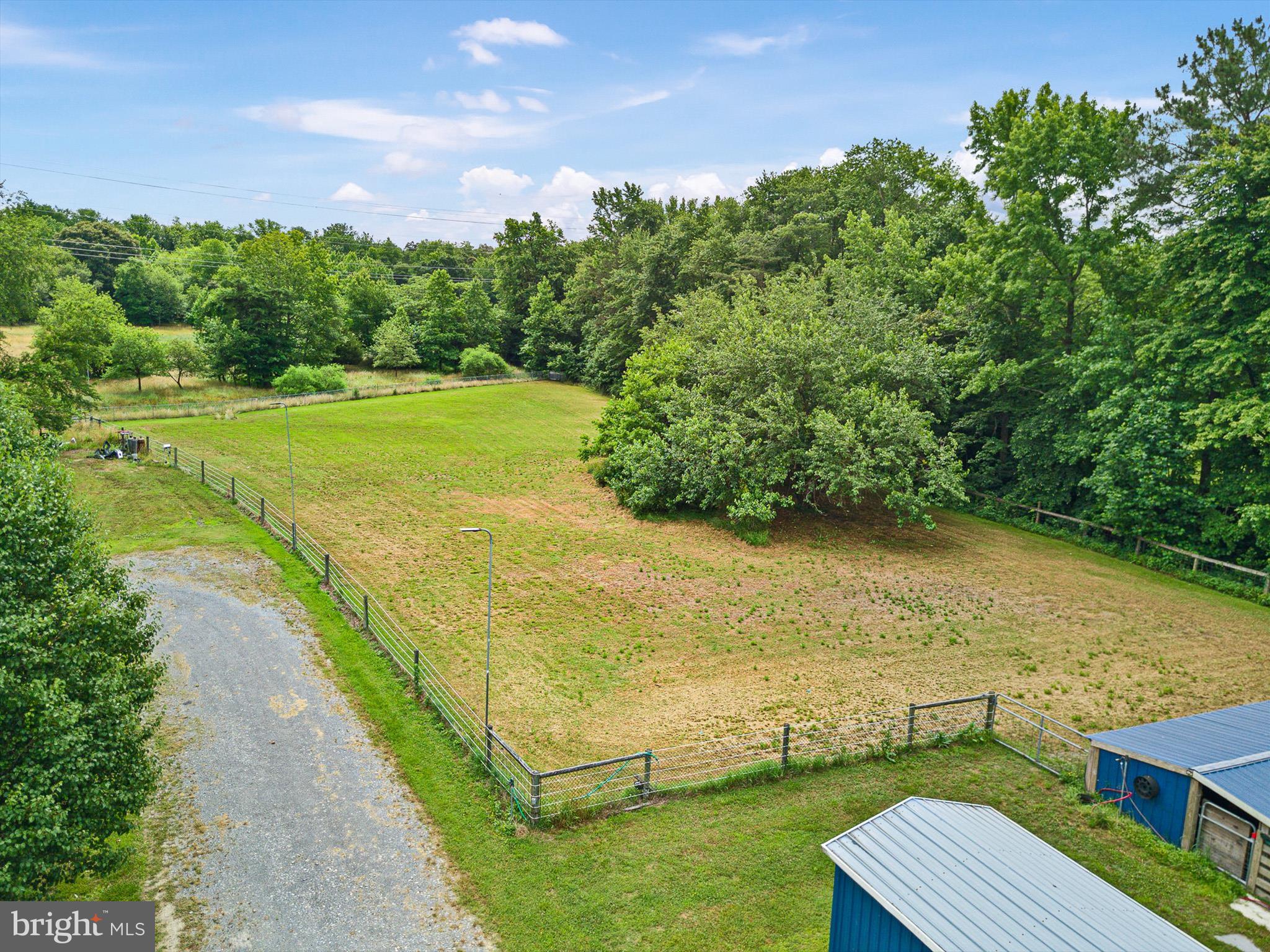 17435 Melville Road Henderson, MD 21640 - Photo 6 of 52 Front Yard