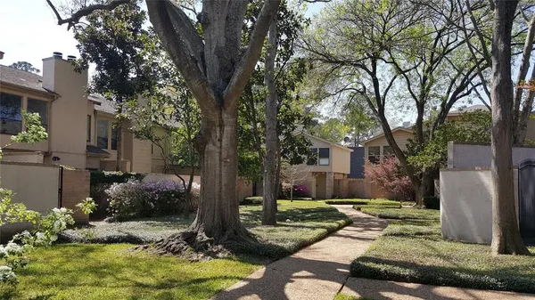 a view of a yard with plants and large tree