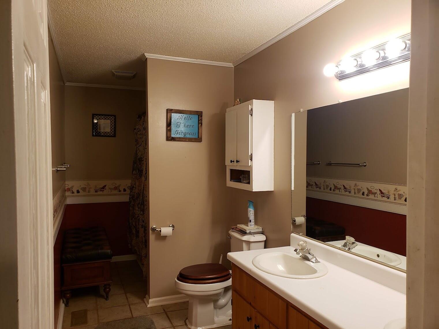 2040 Dugspur Road Callaway, VA 24067 - Photo 7 of 15 a bathroom with a sink a toilet and mirror