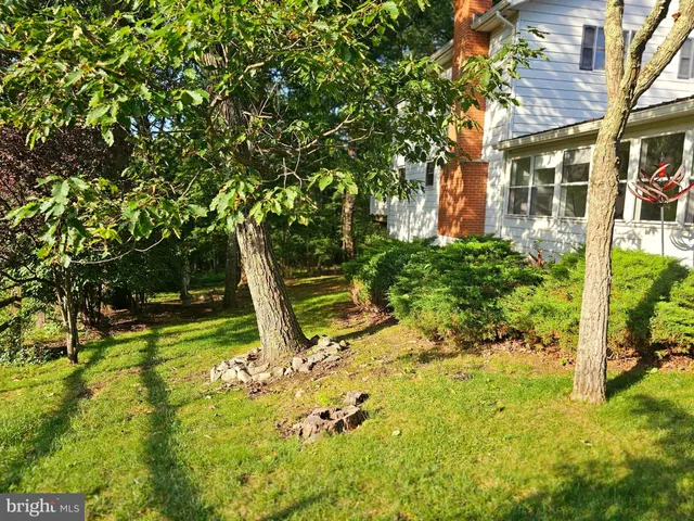 a view of a garden with a bench