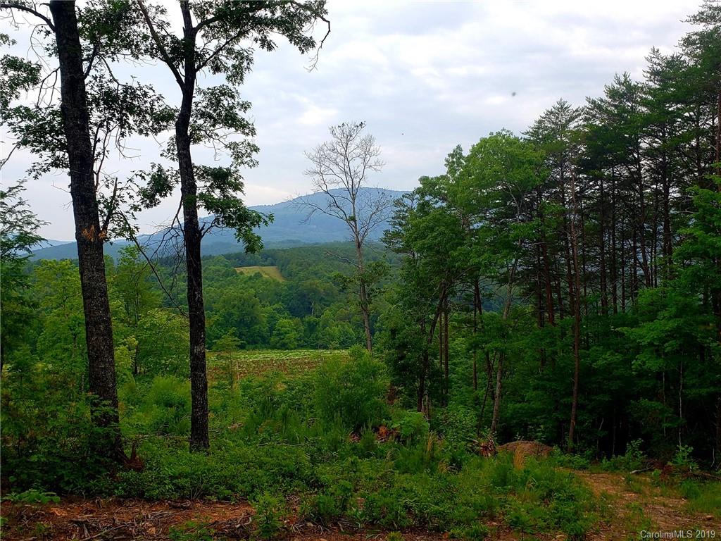 0 Coopers Gap Road Mill Spring, NC 28756 - Photo 1 of 6