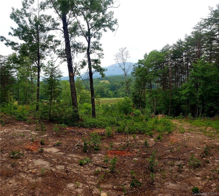 0 Coopers Gap Road Mill Spring, NC 28756 - Photo 4 of 6