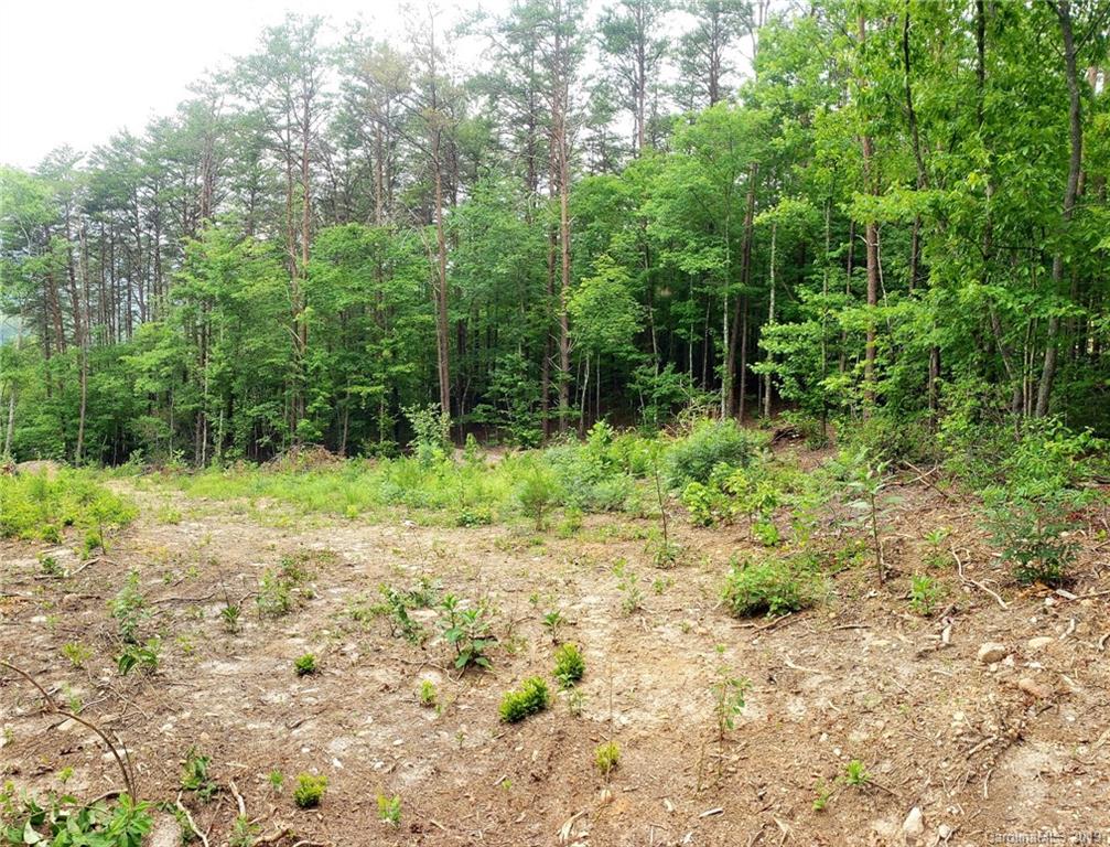 0 Coopers Gap Road Mill Spring, NC 28756 - Photo 5 of 6