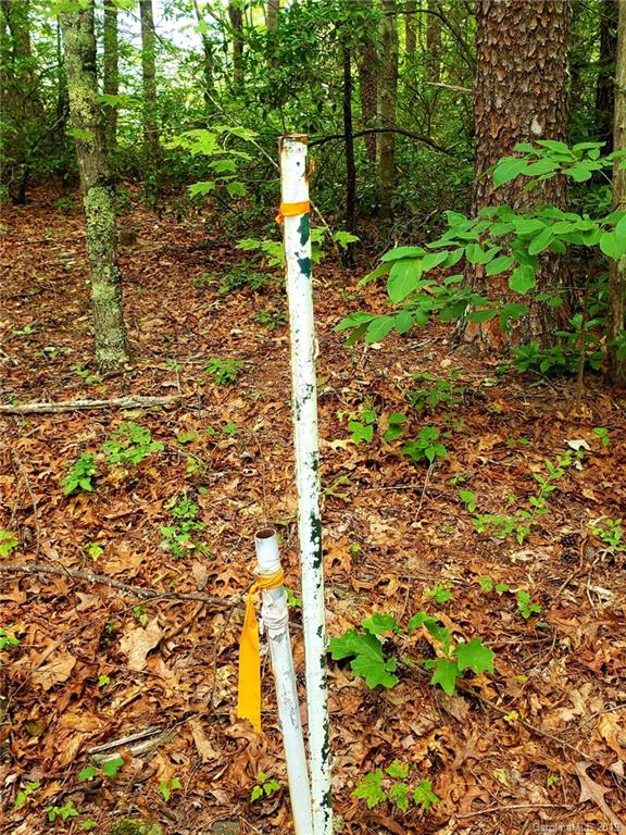 0 Coopers Gap Road Mill Spring, NC 28756 - Photo 6 of 6