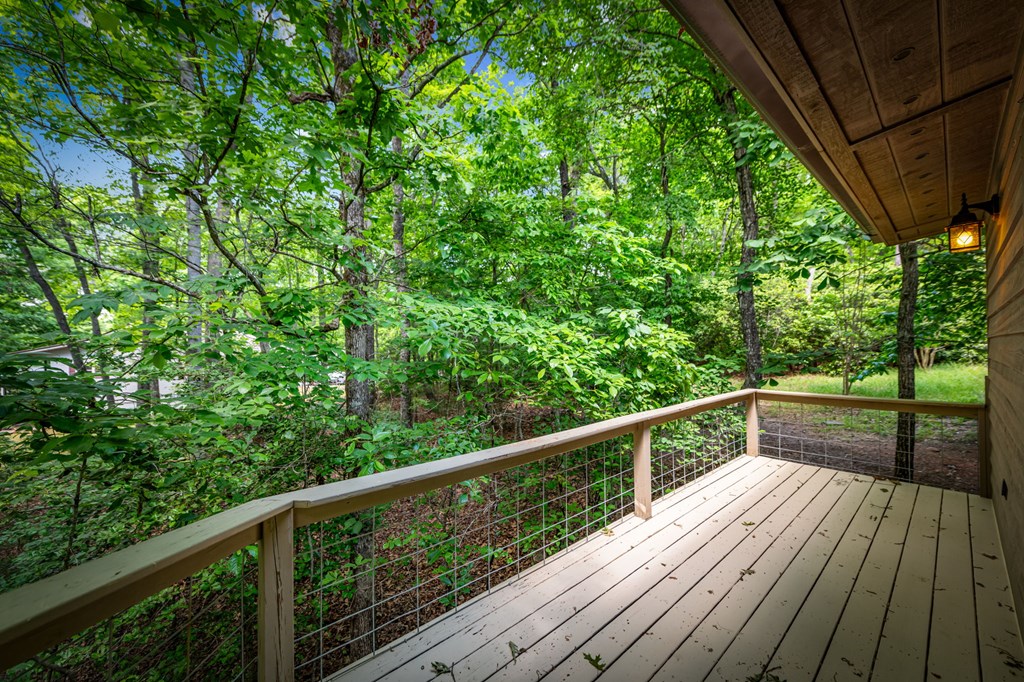 118 Foxfire Road Blairsville, GA 30512 - Photo 23 of 58