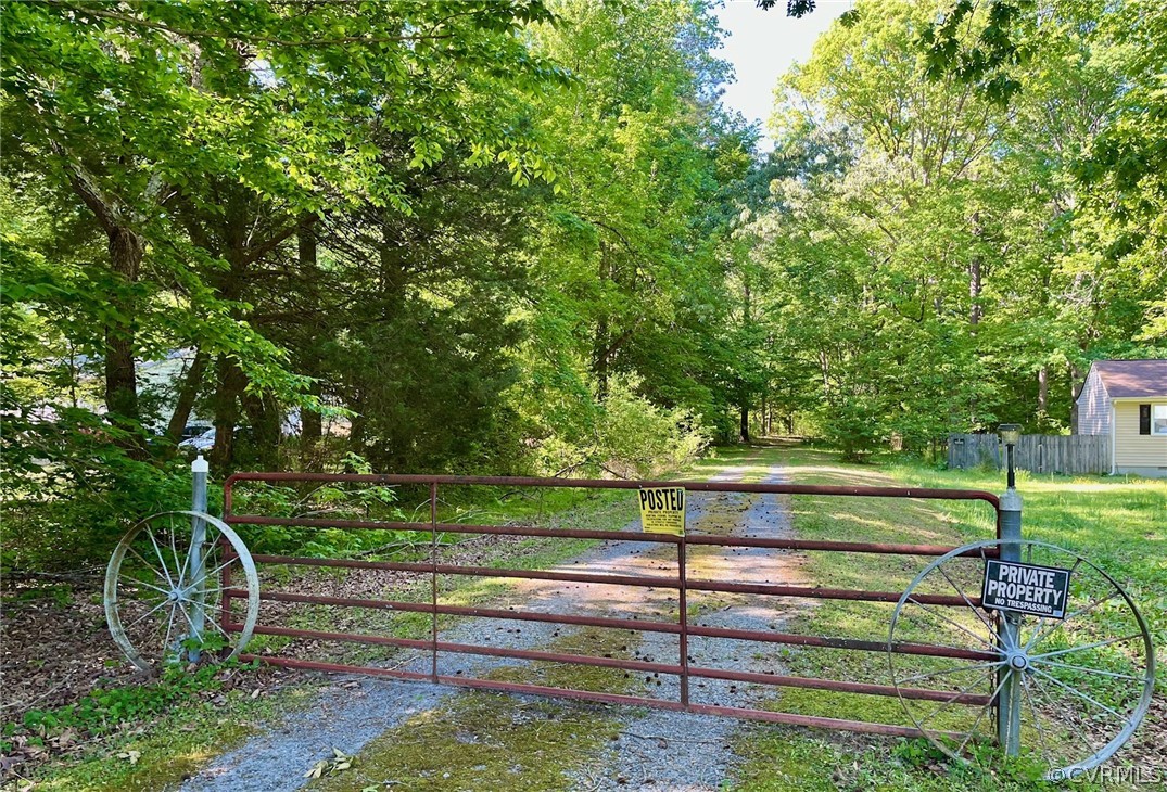 a view of a park with large trees
