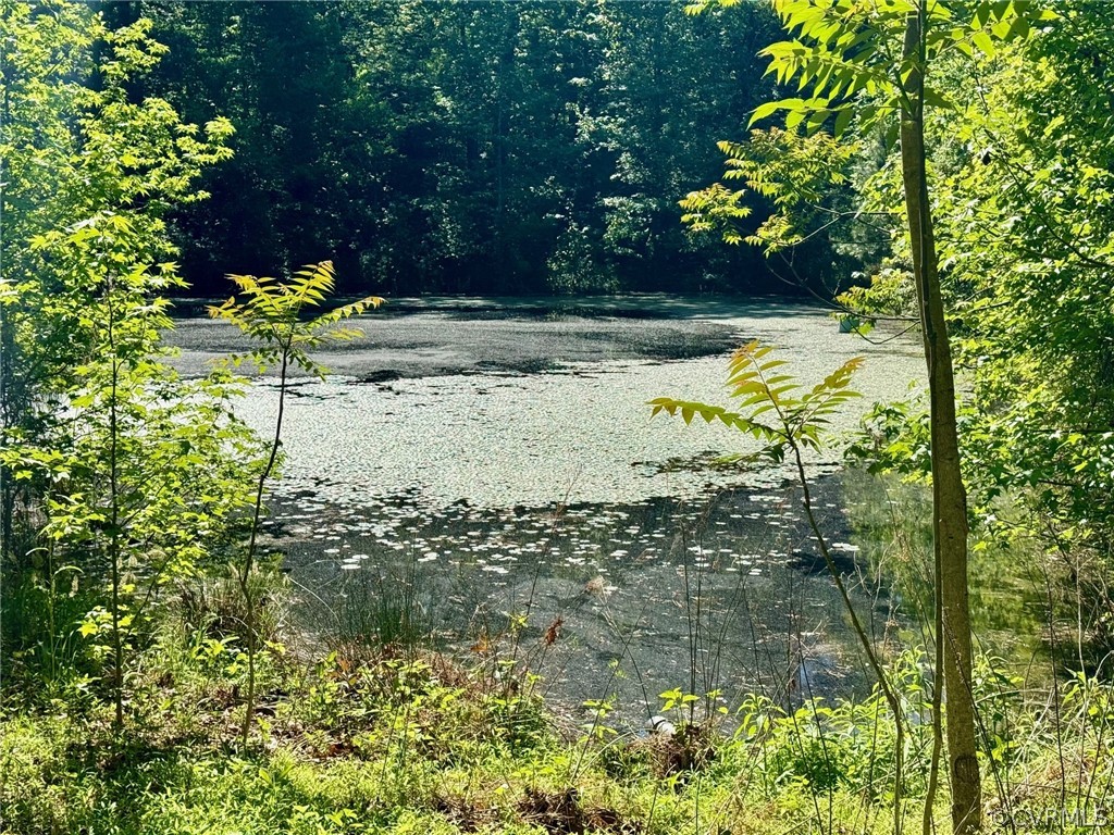 11634 Patillo Road Dewitt, VA 23840 - Photo 3 of 7