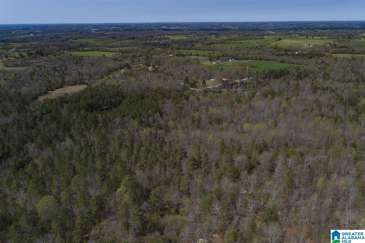 0 Mount Road Blountsville, AL 35031 - Photo 11 of 17
