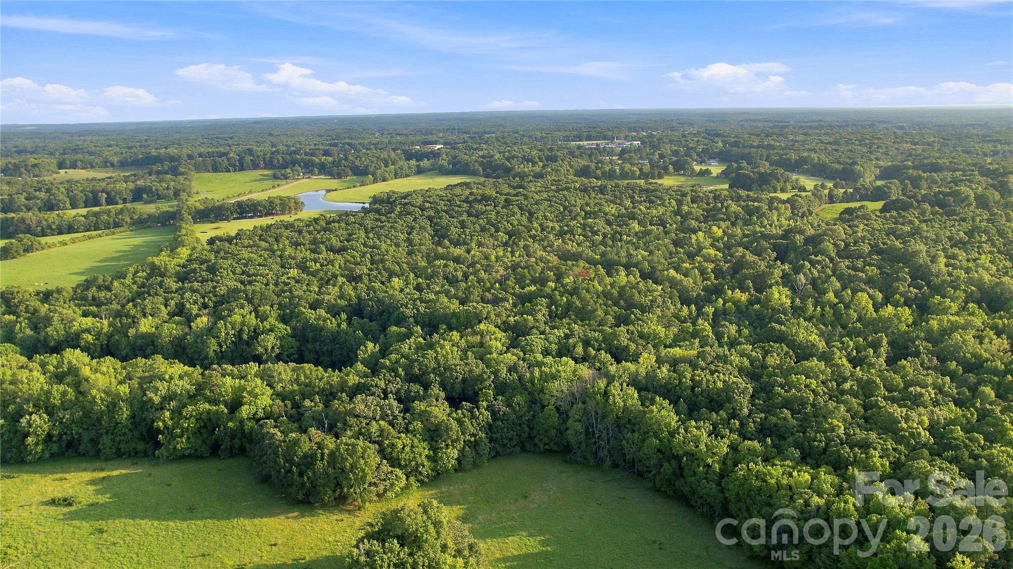 1979 Willie Usher Road Lancaster, SC 29720 - Photo 4 of 45 Gallery Image 4
