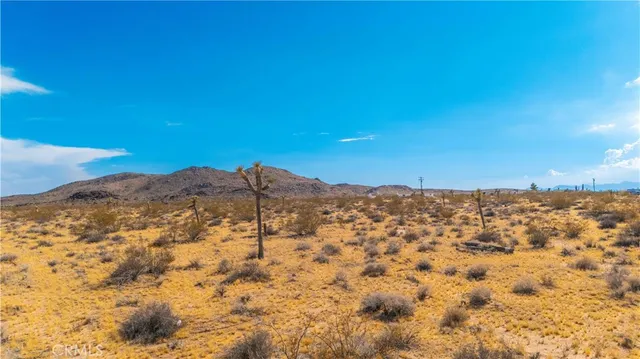 a view of a yard with a mountain