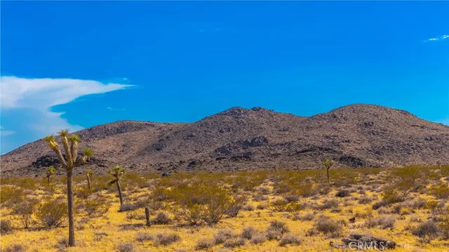 a view of a yard with a mountain