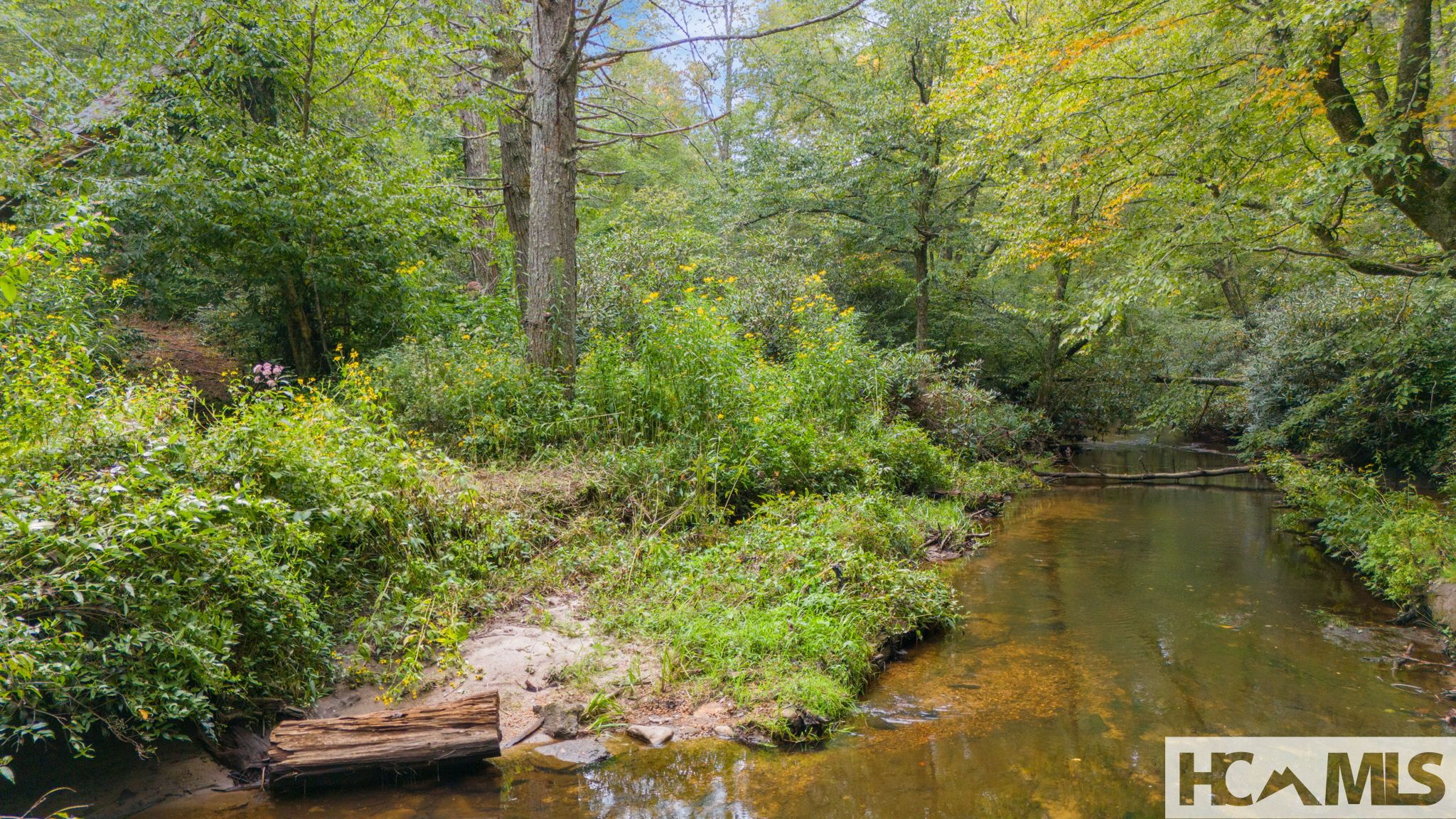 0 Sherwood Forest Road Highlands, NC 28741 - Photo 20 of 21 Gallery Image 20