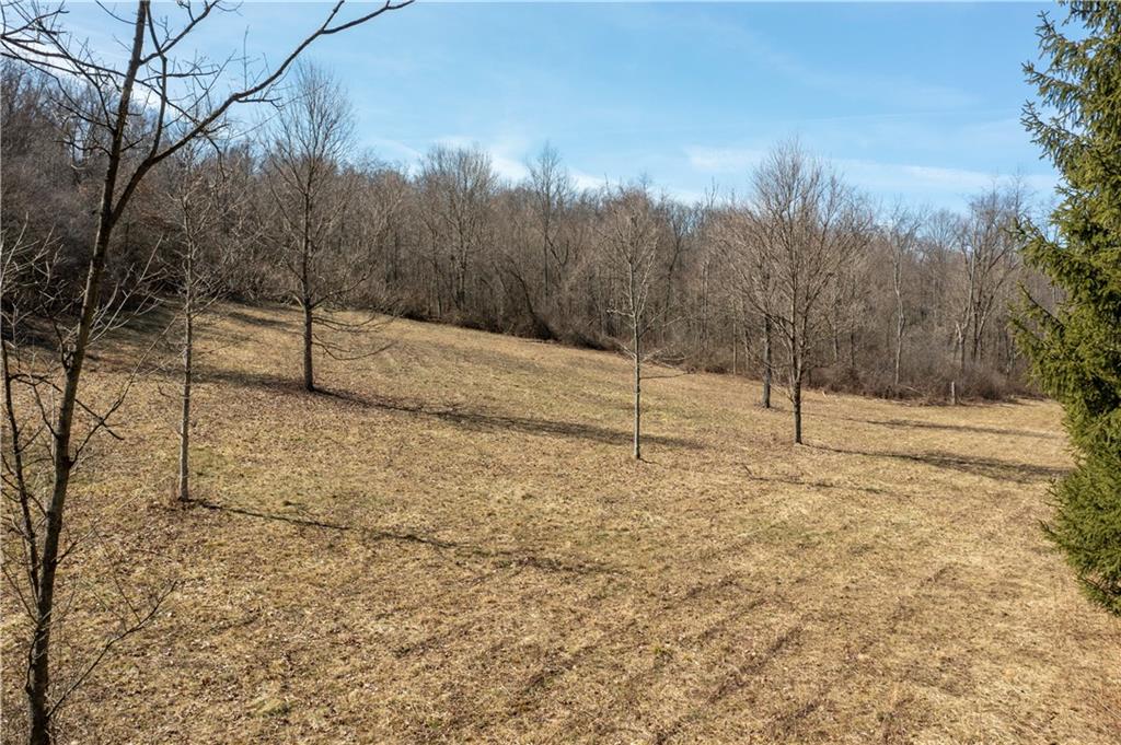 Lot 5 Sundust Road Eighty Four, PA 15330 - Photo 8 of 24 a view of a yard with trees