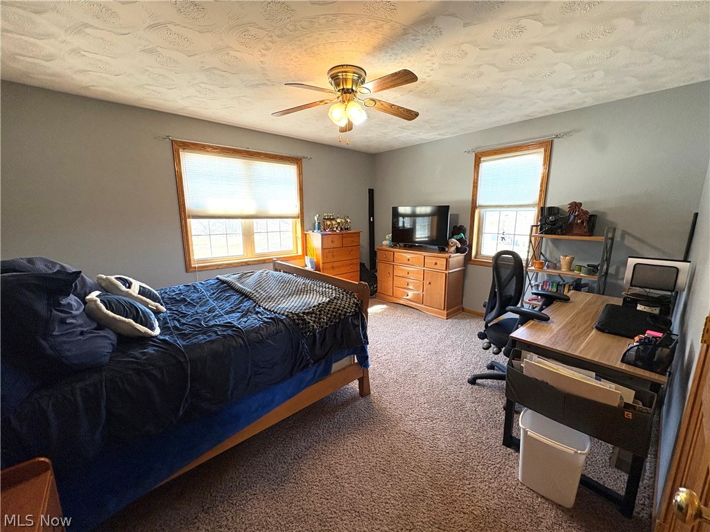 67174 Pancoast Road Belmont, OH 43718 - Photo 33 of 46