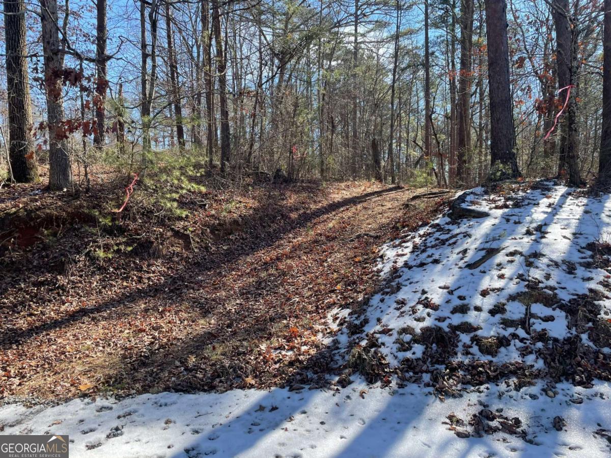1 Old Federal Road Talking Rock, GA 30175 - Photo 1 of 10 a view of outdoor space with trees