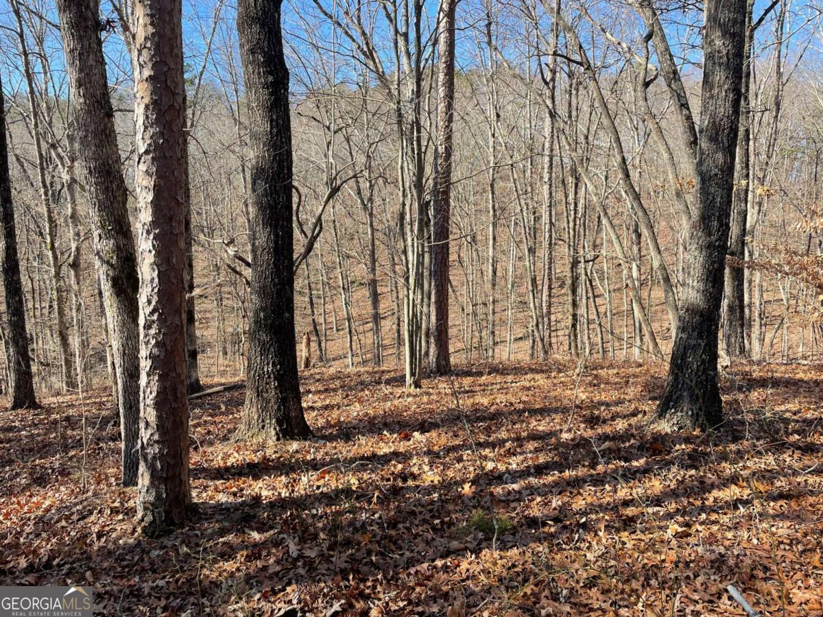 1 Old Federal Road Talking Rock, GA 30175 - Photo 5 of 10 a backyard of a house with lots of green space