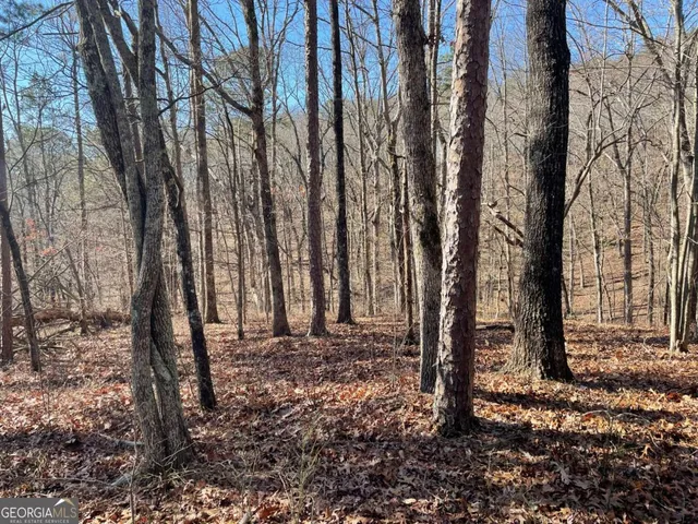 a view of outdoor space with lots of trees