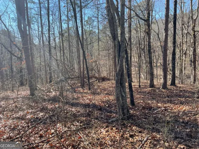 a view of three trees