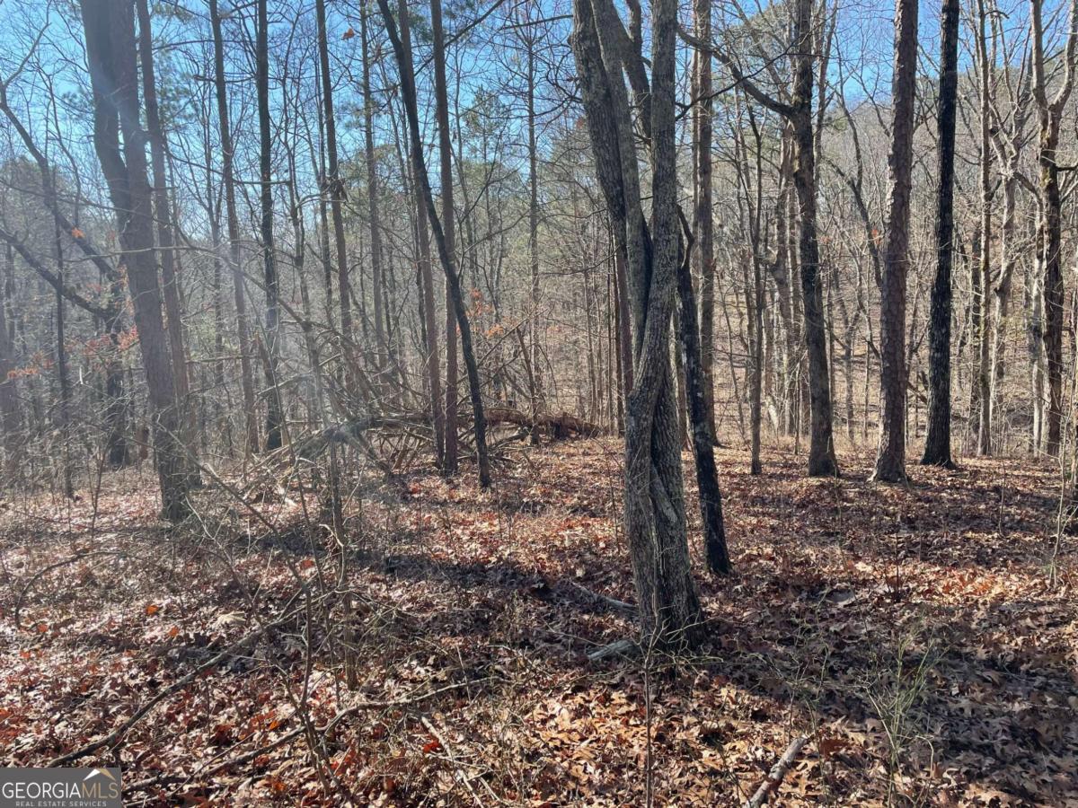 1 Old Federal Road Talking Rock, GA 30175 - Photo 7 of 10 a view of three trees