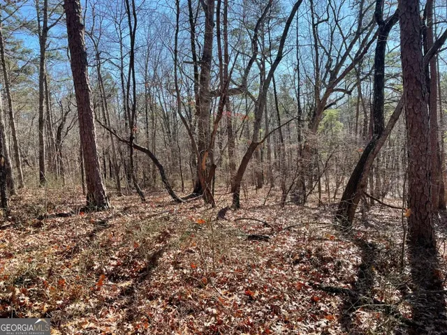 a backyard of a house with lots of trees