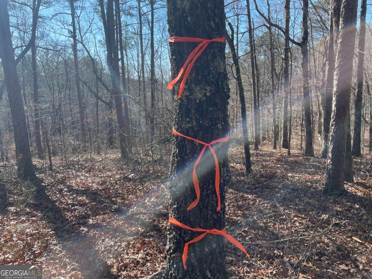 1 Old Federal Road Talking Rock, GA 30175 - Photo 10 of 10 a backyard of a house