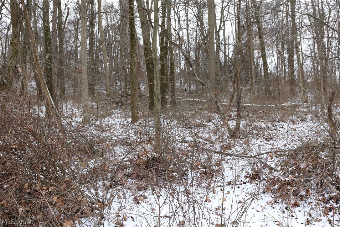 9070 Derry Road Southwest Bowerston, OH 44695 - Photo 3 of 6 Gallery Image 3