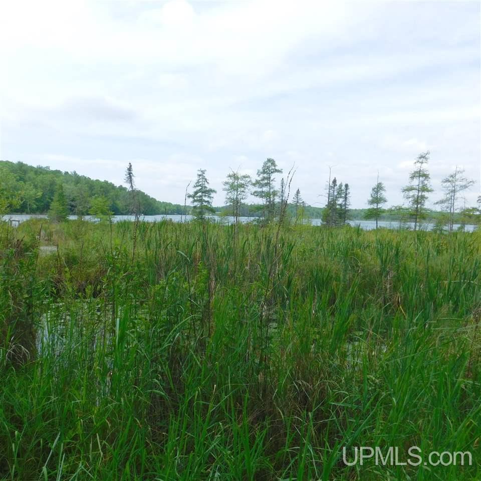 Tbd Reisner Lake Road, Unit 4 5 & 6 Long Lake, WI 54542 - Photo 2 of 9