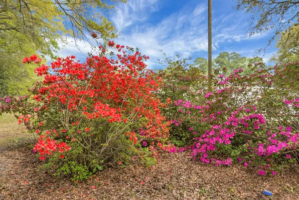 $350,000 | 207 Triver Drive, Moncks Corner, SC 29461