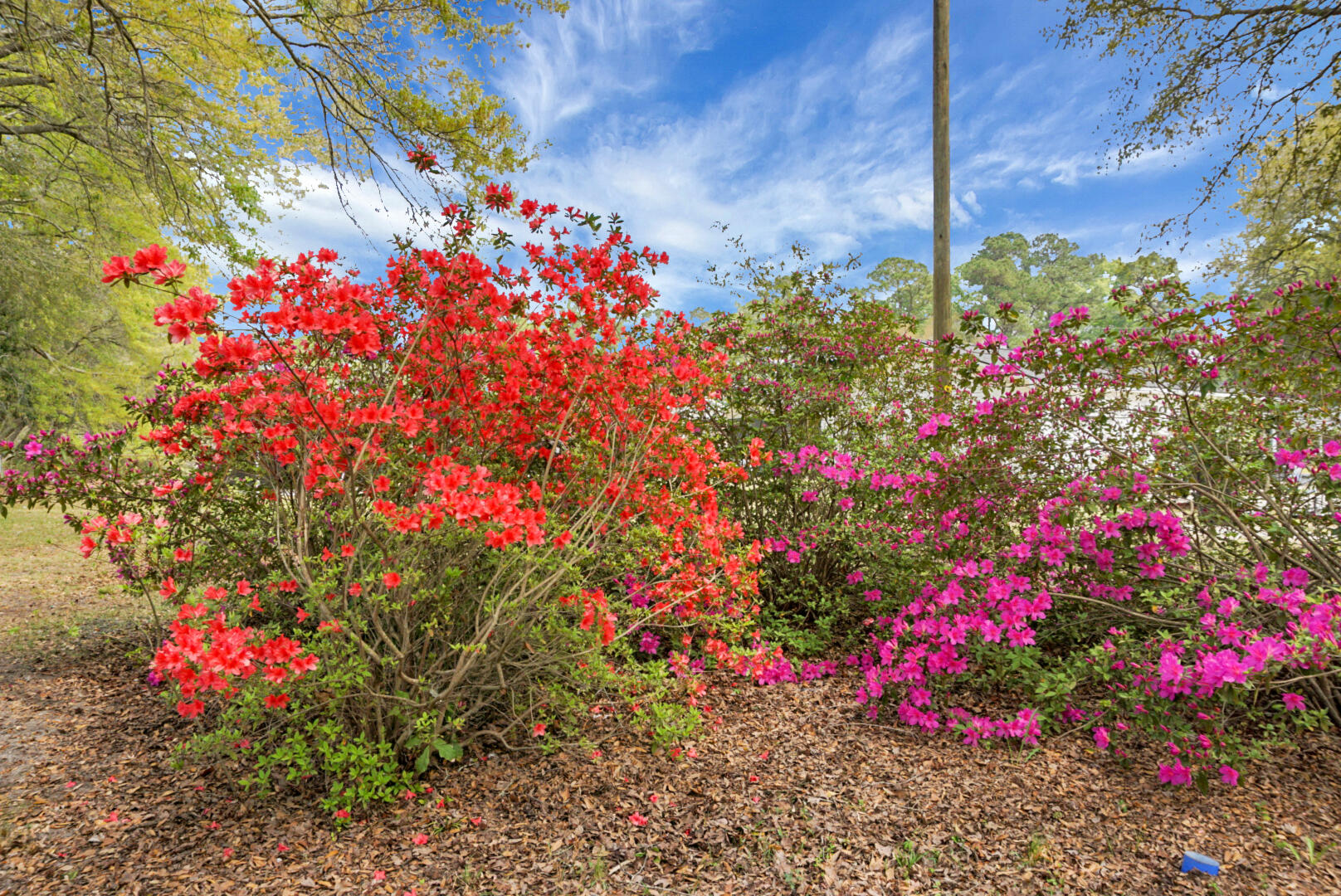 207 Triver Drive Moncks Corner, SC 29461 - Photo 50 of 54 DSC05676