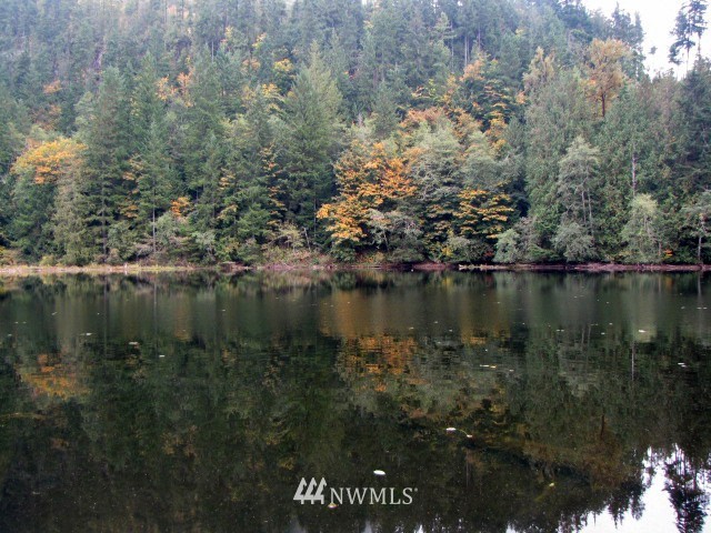 31710 Dotson Road Monroe, WA 98272 - Photo 7 of 15 Gallery Image 7