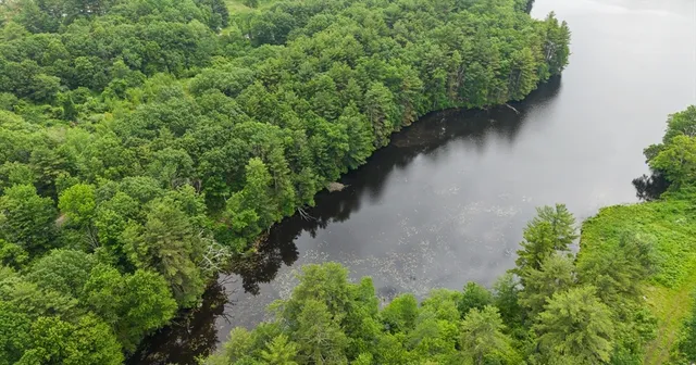 an aerial view of a house with plants and trees all around