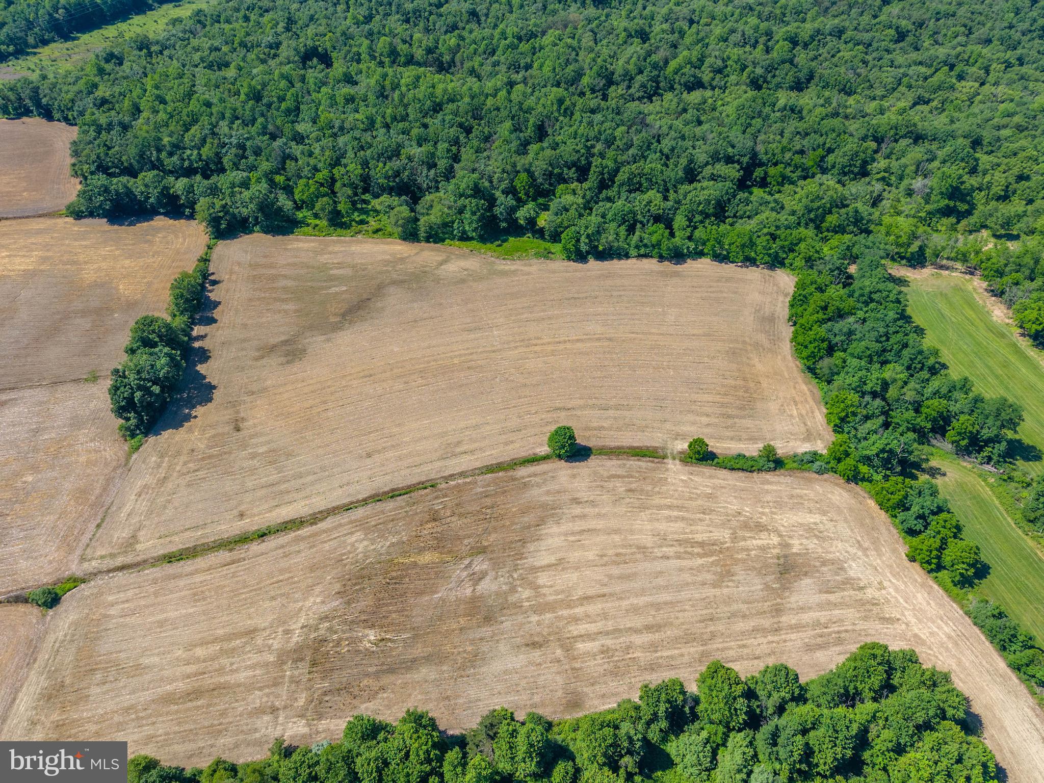 0 Snydertown Road, Unit 2 LOT Sunbury, PA 17801 - Photo 7 of 20