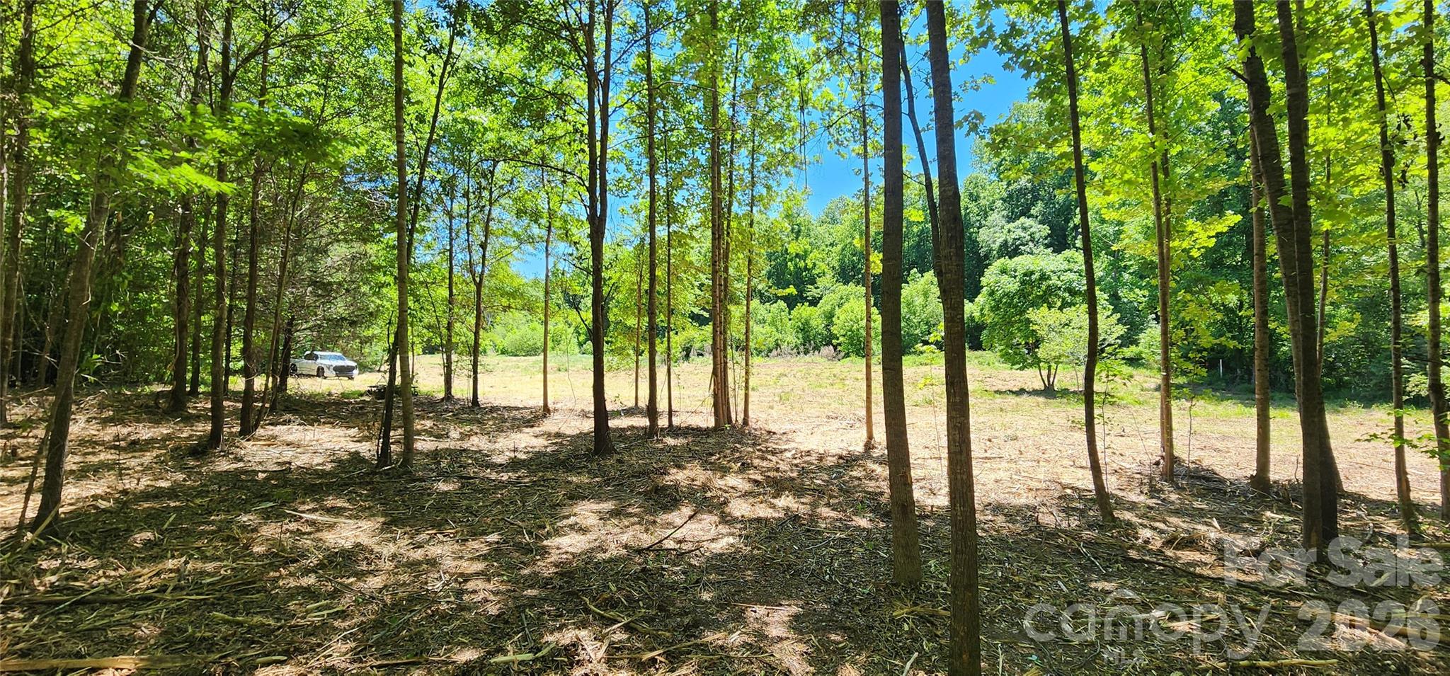 480 Brown Road Spartanburg, SC 29302 - Photo 17 of 47 a view of yard