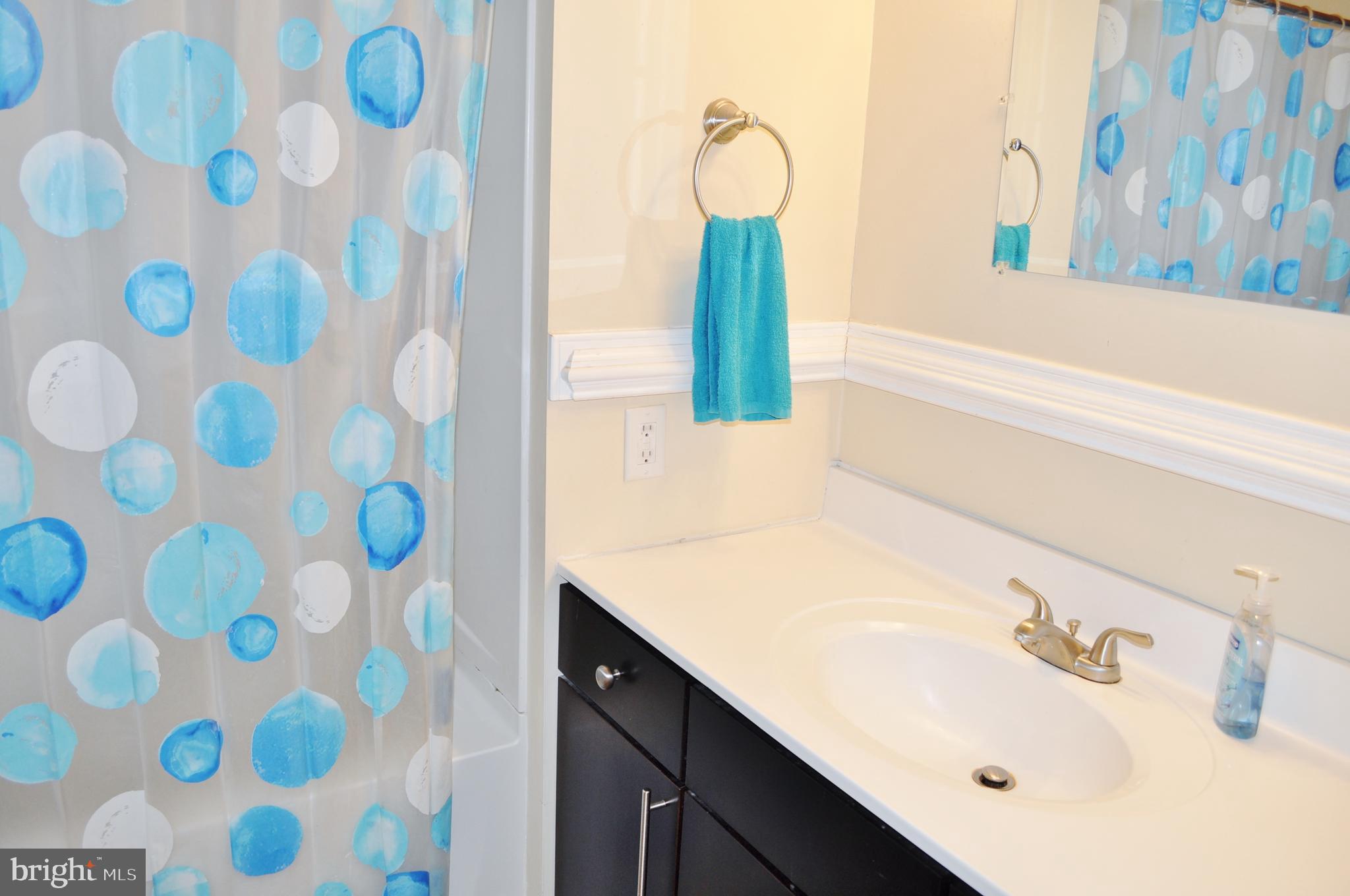 1976 Stoverstown Road Spring Grove, PA 17362 - Photo 44 of 66 a bathroom with a sink and mirror with bathtub