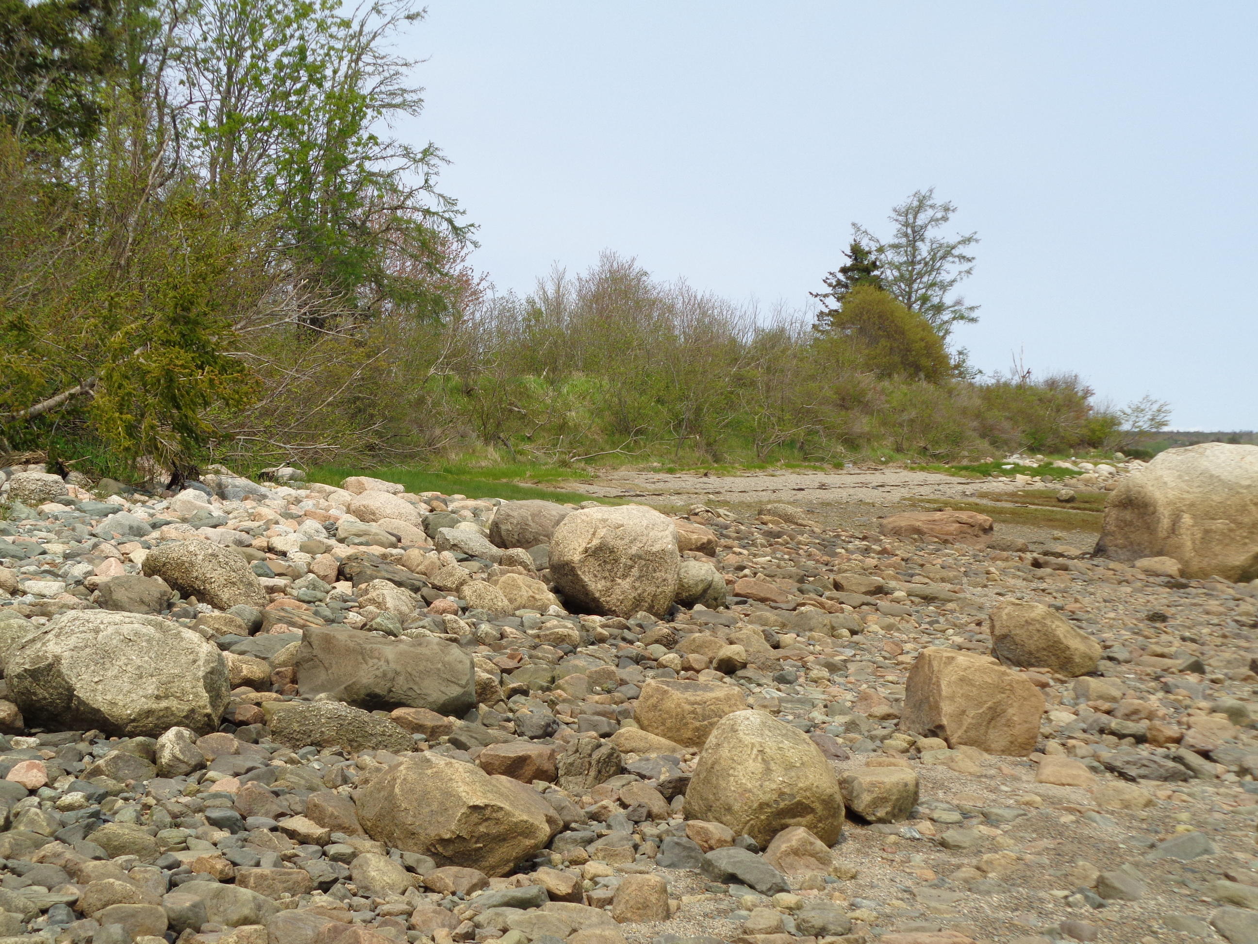 Lot 14-5 Pineo Point Road Harrington, ME 04643 - Photo 29 of 34 DSC03103